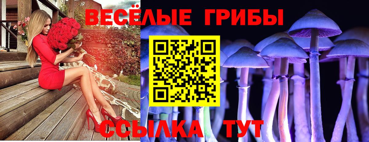 Галлюциногенные грибы MAGIC MUSHROOMS Камышлов